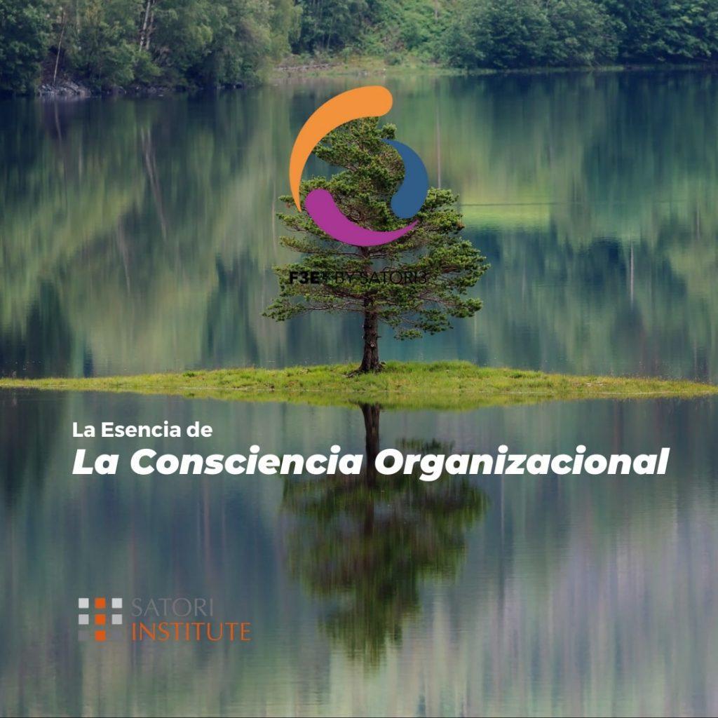Esencia Consciencia Organizacional - Satori3